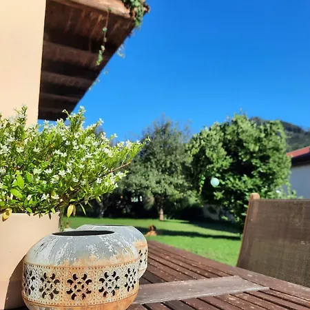 Cozy In Old Pfarrhaus Apartment