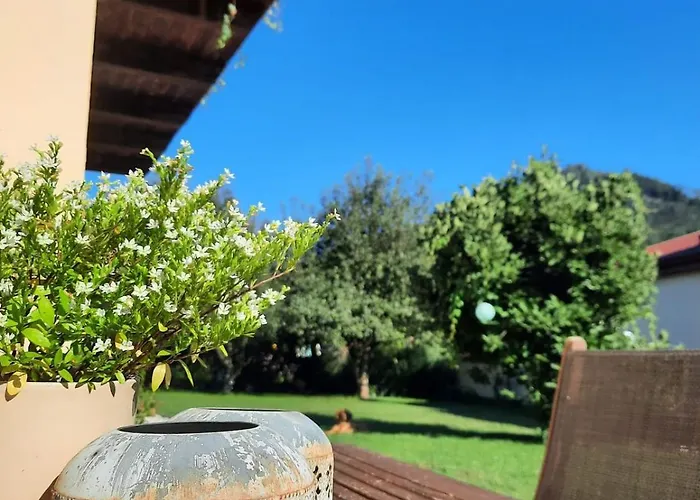 Cozy In Old Pfarrhaus Lejlighed